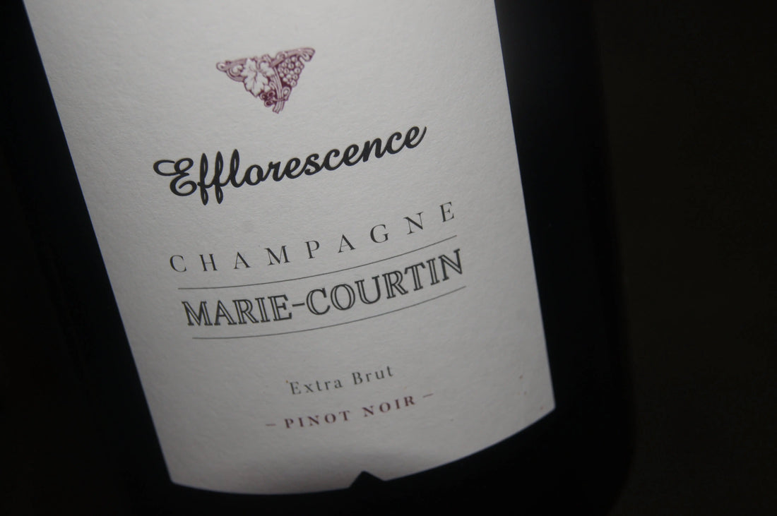 Mikrobiom-Magie im Wein: Geheimnis des Terroirs