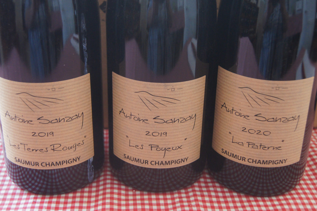 Entdecken Sie die Eleganz der Loire Rotweine - jetzt Wein kaufen und Bordeaux-Alternative probieren.