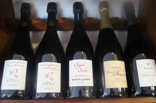 Winzer Champagner: Exklusivität und Tradition - Assaggi-Weinhandel
