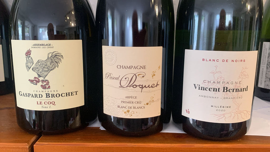 Flasche Winzer-Champagner – handwerklich erzeugt, Terroir-geprägt, authentische Alternative zu großen Marken.