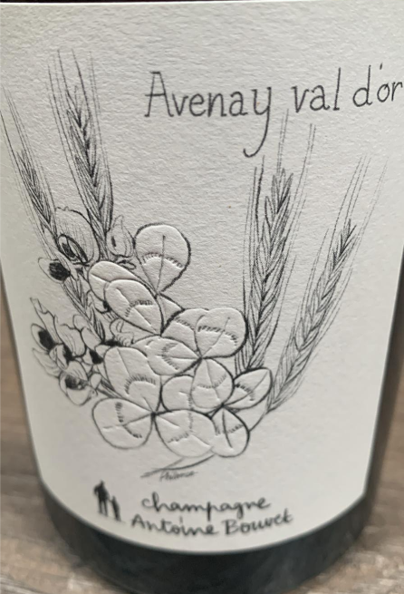 Antoine Bouvet Avenay Val d’Or Les Plantels Blanc de Blancs Extra Brut Champagner 2022 Etikett Vorder- und Rückseite 04.05.2026