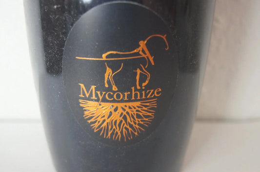 Winzer Champagner in Assaggi-Weinhandel in Bad Herreanalb